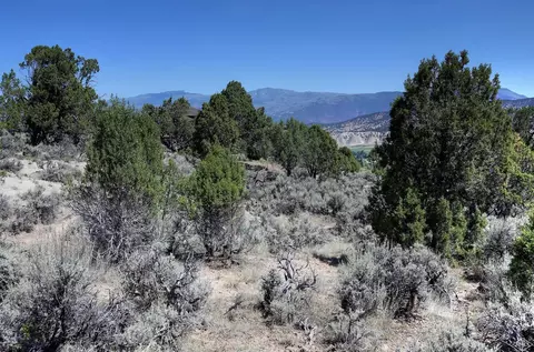 1028 Hernage Creek Rd, Eagle, CO 81631 photo 5