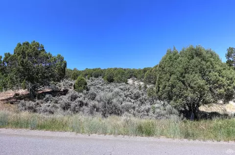 1028 Hernage Creek Rd, Eagle, CO 81631 photo 4