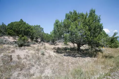 1028 Hernage Creek Rd, Eagle, CO 81631 photo 6