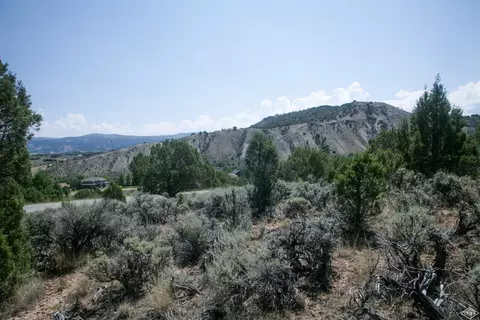 1028 Hernage Creek Rd, Eagle, CO 81631 photo 12