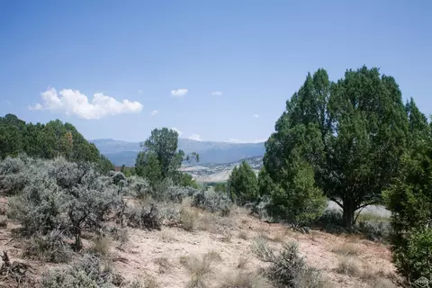 1028 Hernage Creek Rd, Eagle, CO 81631 photo 15