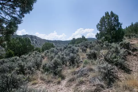 1028 Hernage Creek Rd, Eagle, CO 81631 photo 10