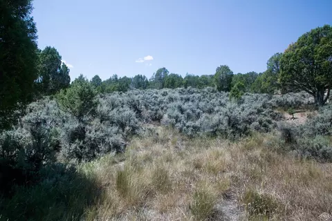 1028 Hernage Creek Rd, Eagle, CO 81631 photo 8