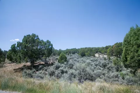 1028 Hernage Creek Rd, Eagle, CO 81631 photo 7