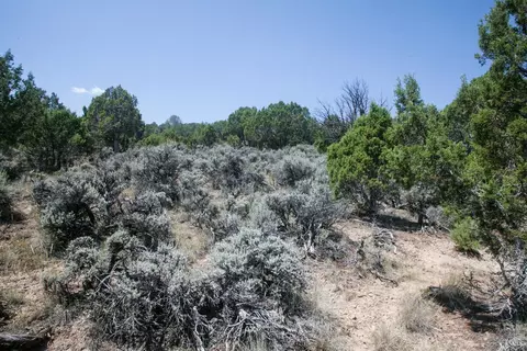 1028 Hernage Creek Rd, Eagle, CO 81631 photo 11