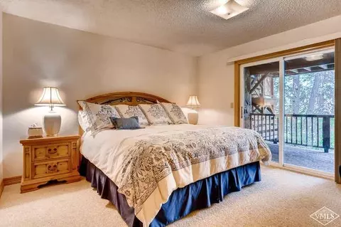 57 Riverside Rd #E, Avon, CO 81620 photo 22