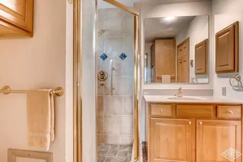 57 Riverside Rd #E, Avon, CO 81620 photo 19