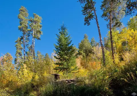 972 W Eagle Dr W, Avon, CO 81620 photo 25