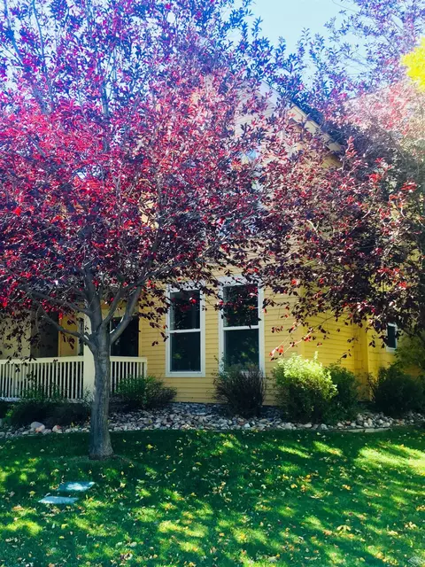 29 Pearch St #A102, Eagle, CO 81631 photo 2