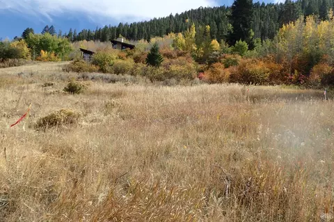 824 Eagle Dr Cir, Avon, CO 81620 photo 3