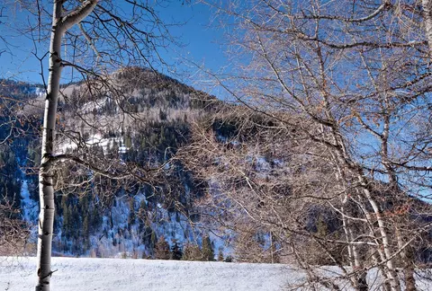 4030 Fall Line Dr #D, Vail, CO 81657 photo 21