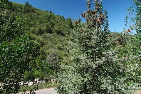 74 Cresta Rd #305, Edwards, CO 81632 photo 7