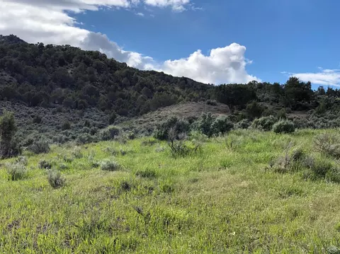 239 Gray Rock Dr, Eagle, CO 81631 photo 11