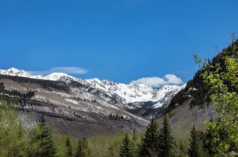1650 Fallridge Rd #314, Vail, CO 81657 photo 13