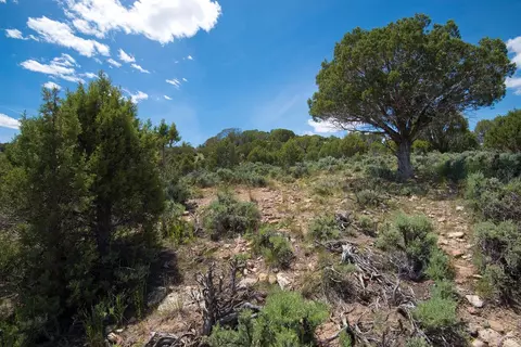 591 Hernage Creek Rd, Eagle, CO 81631 photo 25