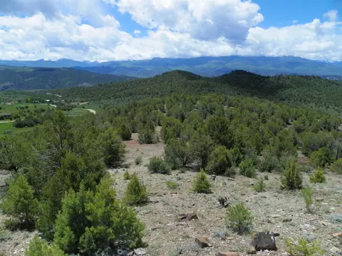 255 Sorrel Hills Dr, Eagle, CO 81631 photo 8
