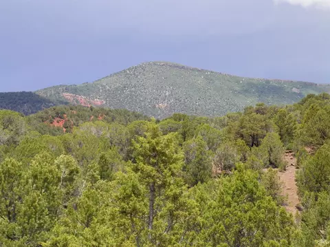 255 Sorrel Hills Dr, Eagle, CO 81631 photo 12
