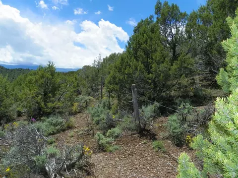 255 Sorrel Hills Dr, Eagle, CO 81631 photo 19