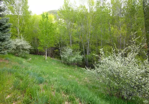 260 Singletree Rd #B, Edwards, CO 81632 photo 23