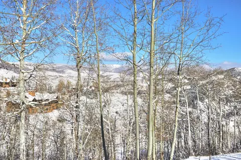 277 Saddle Ridge Loop, Edwards, CO 81632 photo 9