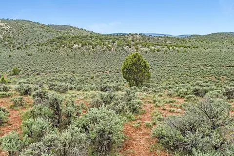96 S Penstemon Ln, Eagle, CO 81631 photo 17