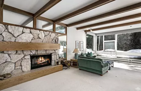 360 E Lionshead Cir #2, Vail, CO 81657 photo 4