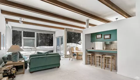 360 E Lionshead Cir #2, Vail, CO 81657 photo 3