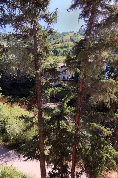 292 E Meadow Dr #442, Vail, CO 81657 photo 16