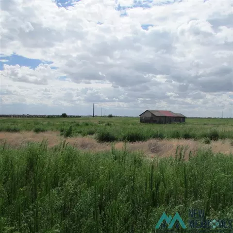 444 S Roosevelt Road O, Portales, NM 88130