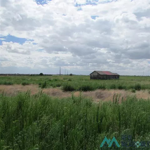 444 S Roosevelt Road O, Portales, NM 88130