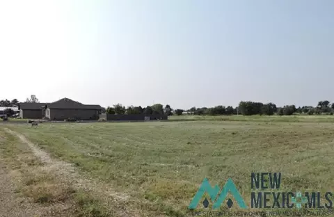 8 Jenkins Drive Dr, Clayton, NM 88415