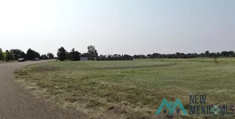 26 Jenkins Drive Dr, Clayton, NM 88415