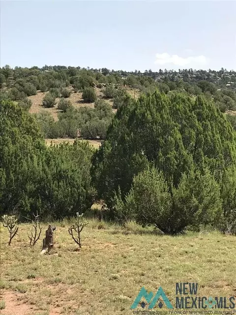 Cr B27 Tracts C3 & C4 Roads, Los Montoyas, NM 87701