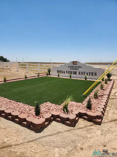lot24 S A S Tagwood Ln, Carlsbad, NM 88220