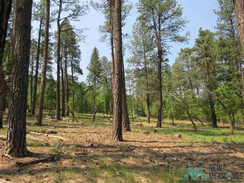 47 48 49 Camino Facil, Rociada, NM 87742