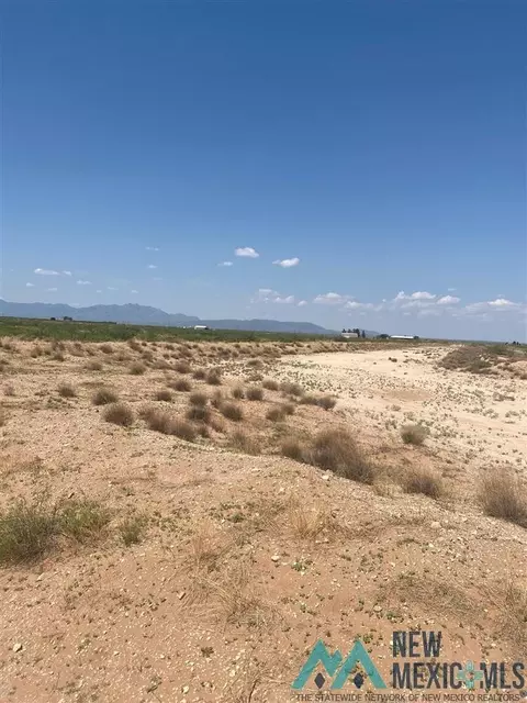 55 Apache, Deming, NM 88030