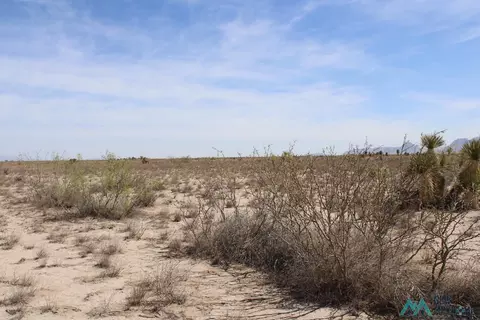 Copa De Oro Lot 43, Deming, NM 88030