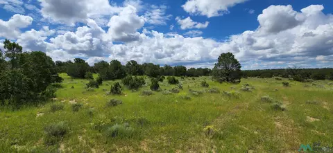 205 Vista Grande, Pie Town, NM 87827