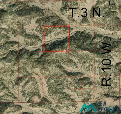 Criswell Road, Pie Town, NM 87827