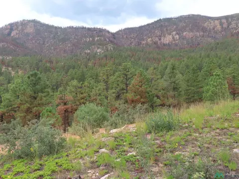 1045 Ac Ctc Ranch Canyon Rd, Mora, NM 87732
