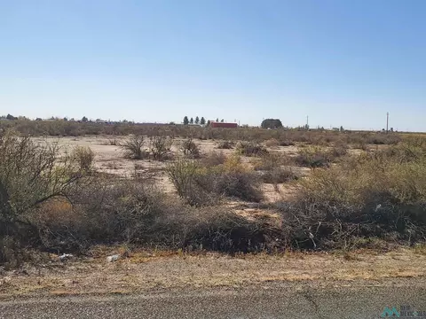 Pequeno Rd Ne Road, Deming, NM 88030