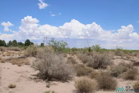 Tomorrow Land Estates, Deming, NM 88030