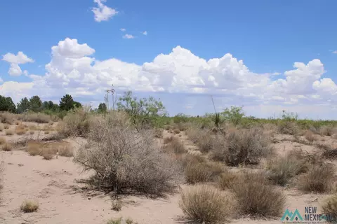Tomorrow Land Estates, Deming, NM 88030