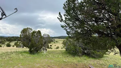 177 Thomas Iv, Datil, NM 87821 photo 32