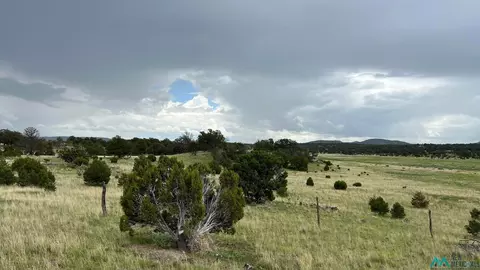 177 Thomas Iv, Datil, NM 87821 photo 28