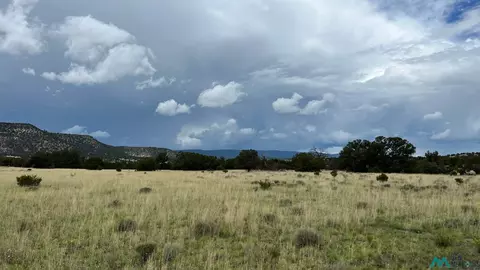 177 Thomas Iv, Datil, NM 87821 photo 34
