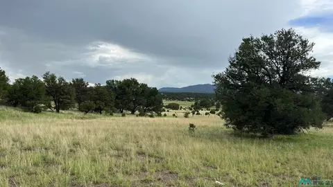 177 Thomas Iv, Datil, NM 87821 photo 26