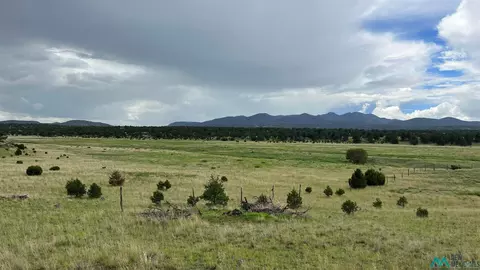 177 Thomas Iv, Datil, NM 87821 photo 27