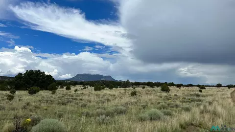 177 Thomas Iv, Datil, NM 87821 photo 33