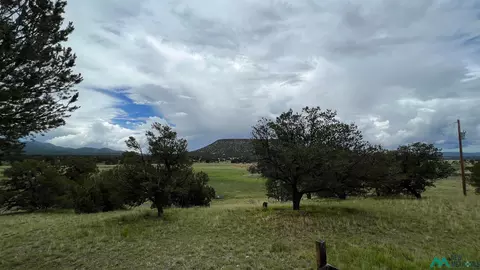 177 Thomas Iv, Datil, NM 87821 photo 31